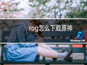 rog怎么下载原神