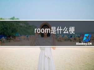 room是什么梗