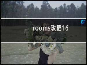 rooms攻略16