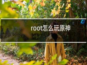 root怎么玩原神