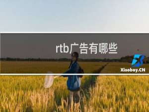 rtb广告有哪些