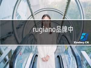 rugiano品牌中文名（STEEL-MATE品牌的中文名是什么）