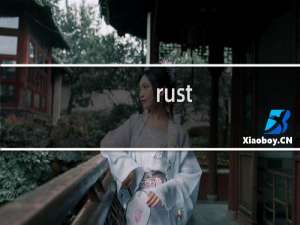 rust+攻略