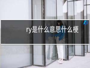 ry是什么意思什么梗