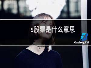 s股票是什么意思