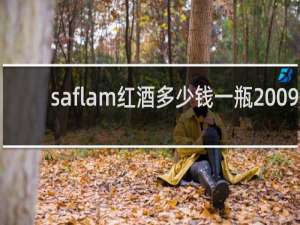 saflam红酒多少钱一瓶2009