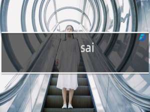 sai-da.com解析不生效