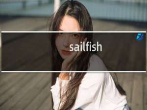 sailfish（os旗鱼系统全方位详细测评：Sailfish OS好用吗）