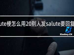 salute梗怎么用 别人发salute要回复啥什么梗