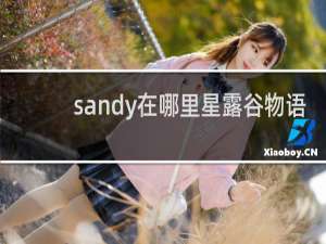 sandy在哪里星露谷物语