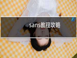 sans教程攻略