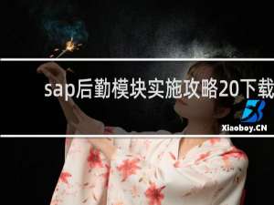 sap后勤模块实施攻略 下载