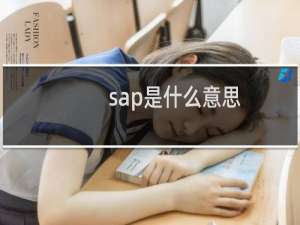 sap是什么意思