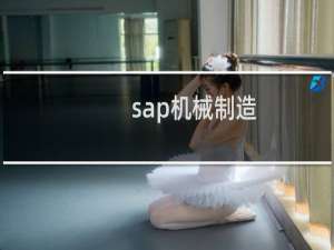 sap机械制造
