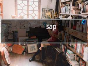 sap abap实用程序开发攻略