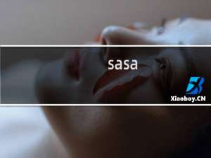 sasa 攻略