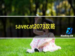 savecat 73攻略