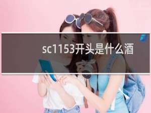 sc1153开头是什么酒
