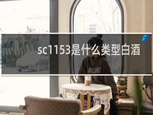 sc1153是什么类型白酒