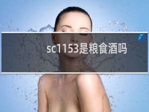 sc1153是粮食酒吗