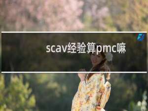 scav经验算pmc嘛
