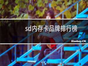 sd内存卡品牌排行榜