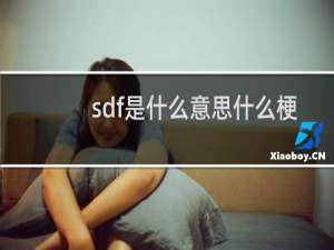 sdf是什么意思什么梗