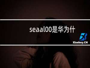 seaal00是华为什么型号手机