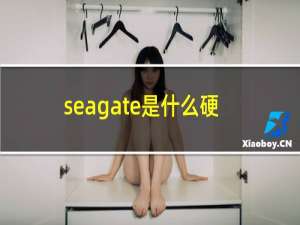 seagate是什么硬盘500g多少钱