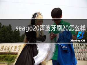 seago 声波牙刷 怎么样