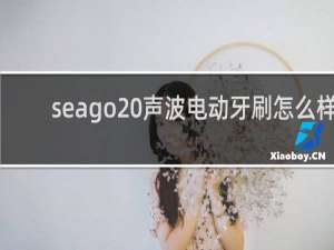 seago 声波电动牙刷怎么样
