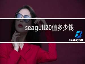 seagull 值多少钱