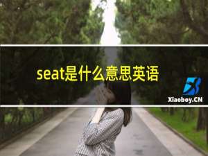 seat是什么意思英语