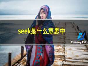 seek是什么意思中文翻译（seek是什么意思）