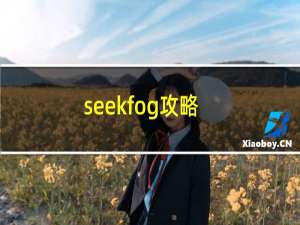 seekfog攻略