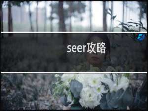 seer攻略