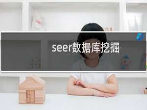 seer数据库挖掘