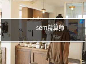 sem精算师