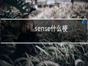 sense什么梗