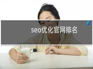 seo优化官网排名