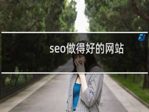 seo做得好的网站