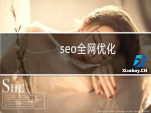 seo全网优化