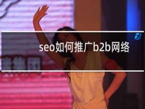 seo如何推广b2b网络