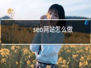 seo网站怎么做