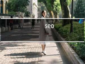 seo.jincesh.com 帮我放个代码进去，文件太多，