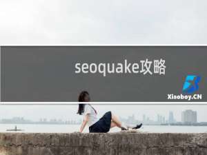 seoquake攻略