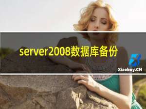 server2008数据库备份