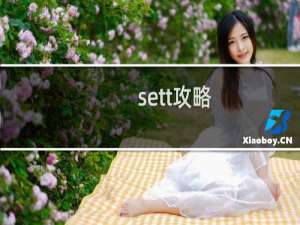 sett攻略
