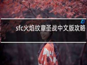 sfc火焰纹章圣战中文版攻略