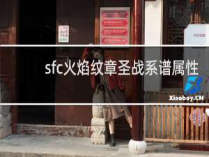 sfc火焰纹章圣战系谱属性